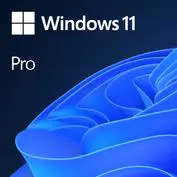 "Microsoft Windows 11 Pro OEM", originalios įrangos gamintojas (OEM), 1 licencija (-os), 64 GB, 409…