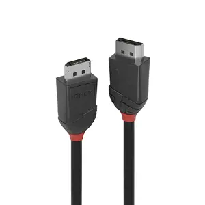 "Lindy" 1 m "DisplayPort 1.2" kabelis, juoda linija, 1 m, "DisplayPort", "DisplayPort", vyriškas, v…