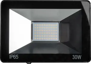 "Omega" LED prožektorius 30W 4200K (43861)
