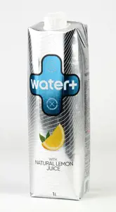Vanduo WATER+, su natūraliomis citrinų sultimis, 1 l