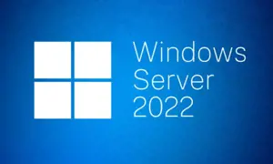 "Microsoft Windows Server 2022 Standard", licencija, 1 licencija (-os), anglų k.