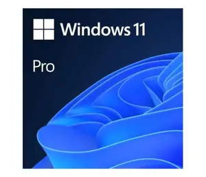 "Microsoft Windows 11 Pro", 1 licencija (-os), 64 GB, 4096 GB, 1000 GHz, lenkų kalba, DVD