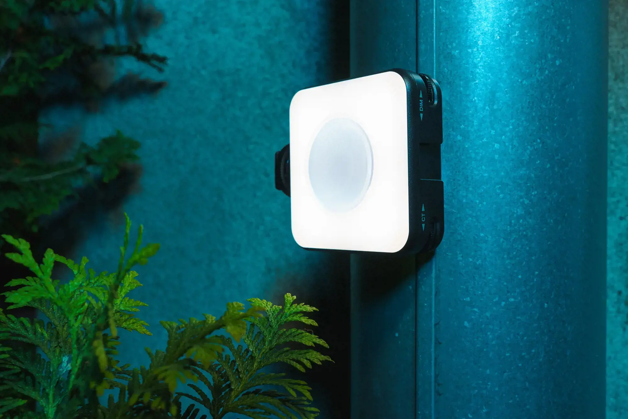 "Newell" vadovaujama partija LED lempos RGB-W Rangha Nano Sunset