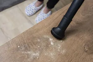 Concept VP5151 Furious Animal bagless vacuum cleaner