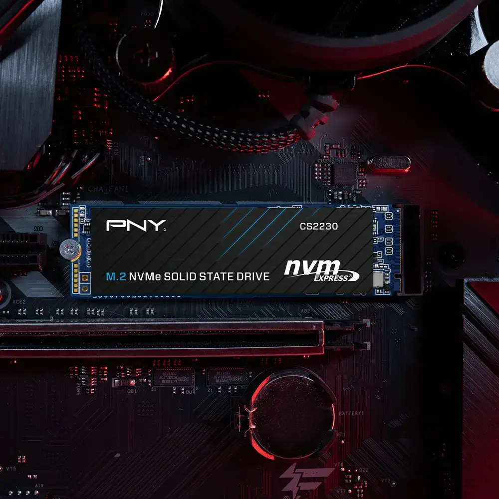 SSD diskas PNY M280CS2230-500-RB 500 GB, M.2, PCI Express 3.0