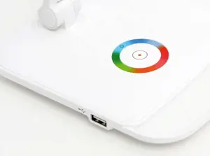 Platinet stalinė lempa su USB įkrovikliu PDLQ60 12W (43804)