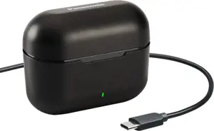 "Panasonic" belaidės ausinės RZ-B310WDE-K, juodos spalvos