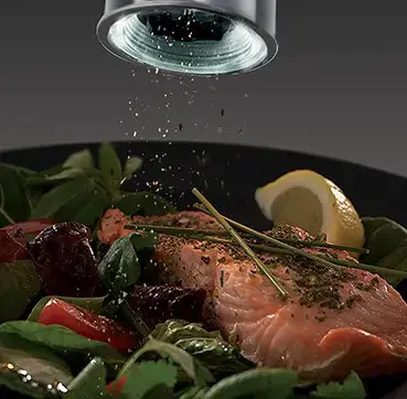 Druskos ir pipirų malūnėlis/23460-56 RUSSELL HOBBS