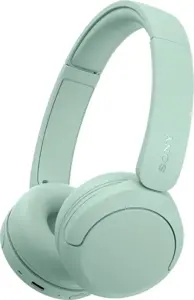 Sony WH-CH530 Wireless Bluetooth Headphones - Mint | Sony