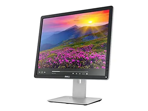Monitorius DELL P1917S, 48.3 cm (19"), 1280 x 1024 pixels, SXGA, LED, 8 ms, Black