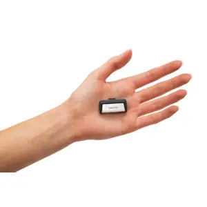 ATMINTIES KAUPIKLIS FLASH USB-C 256GB/SDDDC2-256G-G46 SANDISK
