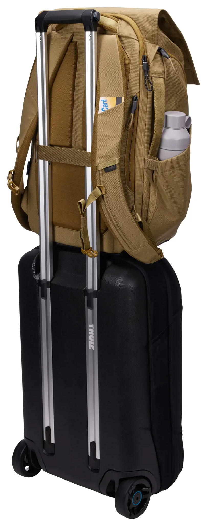 Thule Paramount PARABP3216 Nutria, Urban, Unisex, 40.6 cm (16"), Notebook compartment, Waterproof, Nylon, Polyester