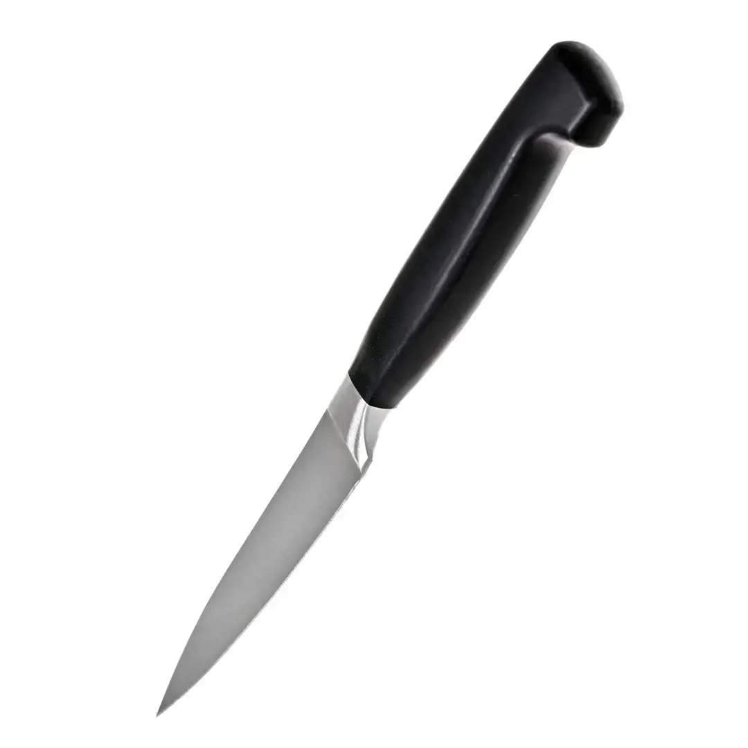 ZWILLING peilių rinkinys Nerūdijančio plieno buitinis peilis