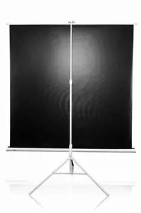 "Elite Screens" ekranų trikojo serijos T113NWS1 įstrižainė 113 ", 1:1, matomas ekrano plotis (W) 203 cm, baltas