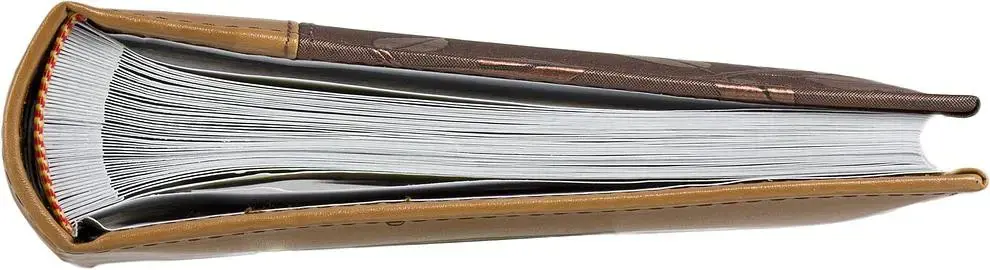 Albumas B 10x15/100M Gėlė, bronza