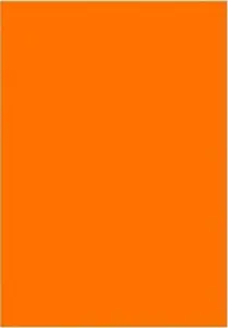 Spalvotas kartonas A1/160g oranžinis