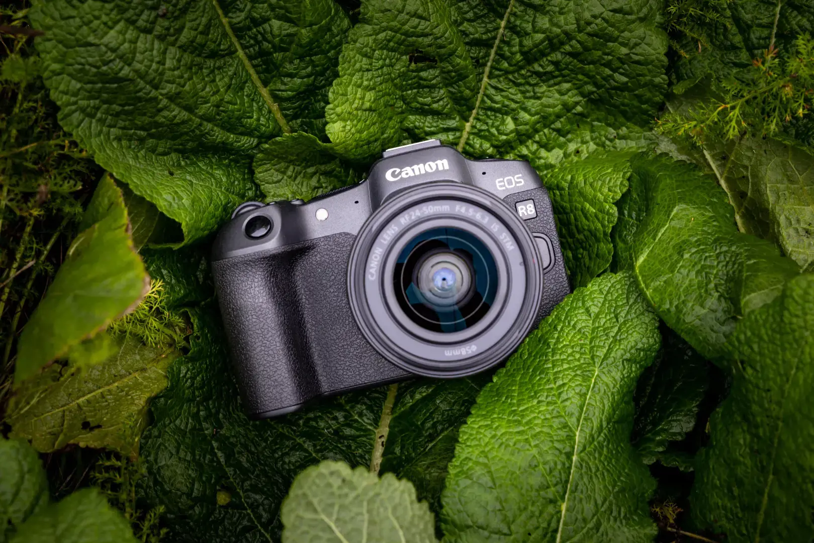 Canon EOS R8 + RF 24-50mm F4.5-6.3 IS STM Kit, 24.2 MP, 6000 x 4000 pixels, CMOS, 4K Ultra HD, Touchscreen, Black