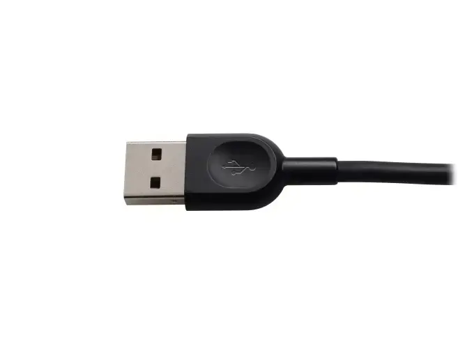 "Logitech H540" USB kompiuterio ausinės, laidinės, biurui / skambučių centrui, 20-20000 Hz, 120 g, ausinės, juodos spalvos