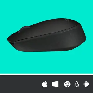 LOGITECH M171 belaidė pelė BLACK