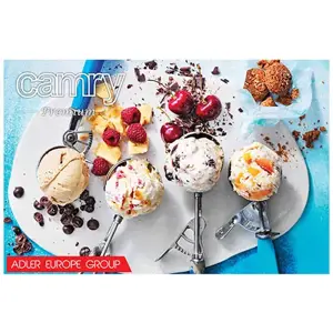 Ledų gaminimo aparatas Camry CR 4481