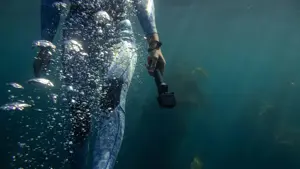 GoPro Handler Floating Hand Grip V3