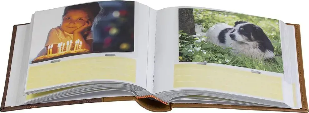 Albumas B 10x15/100M Gėlė, bronza