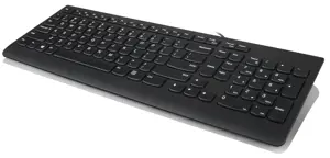 Lenovo 300, Full-size (100%), Wired, USB, QWERTY, Black, Mouse included