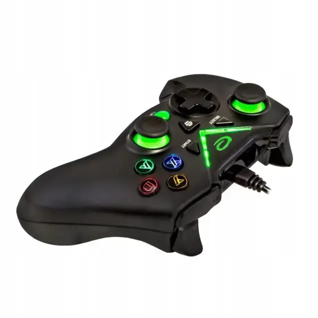 "ESPERANZA" ŽAIDIMŲ BLOKAS PC/XBOX ONE/XBOX SERIES X/S USB PIRATE EGG114K