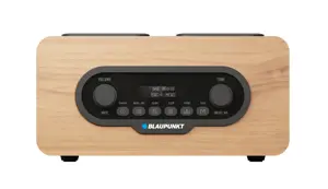 Blaupunkt DR10CR Portable radio Brown, black