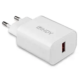 Lindy 73412, vidaus, lauko, kintamosios srovės, 12 V, baltas