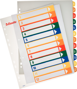 Plastikiniai spalvoti skiriamieji lapai ESSELTE, A4, MAXI