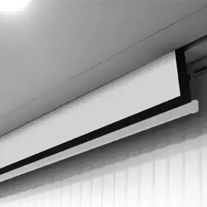 Elektrinis ekranas Video Electric 300P / 4:3 / 290x217,5cm / Matinis baltas