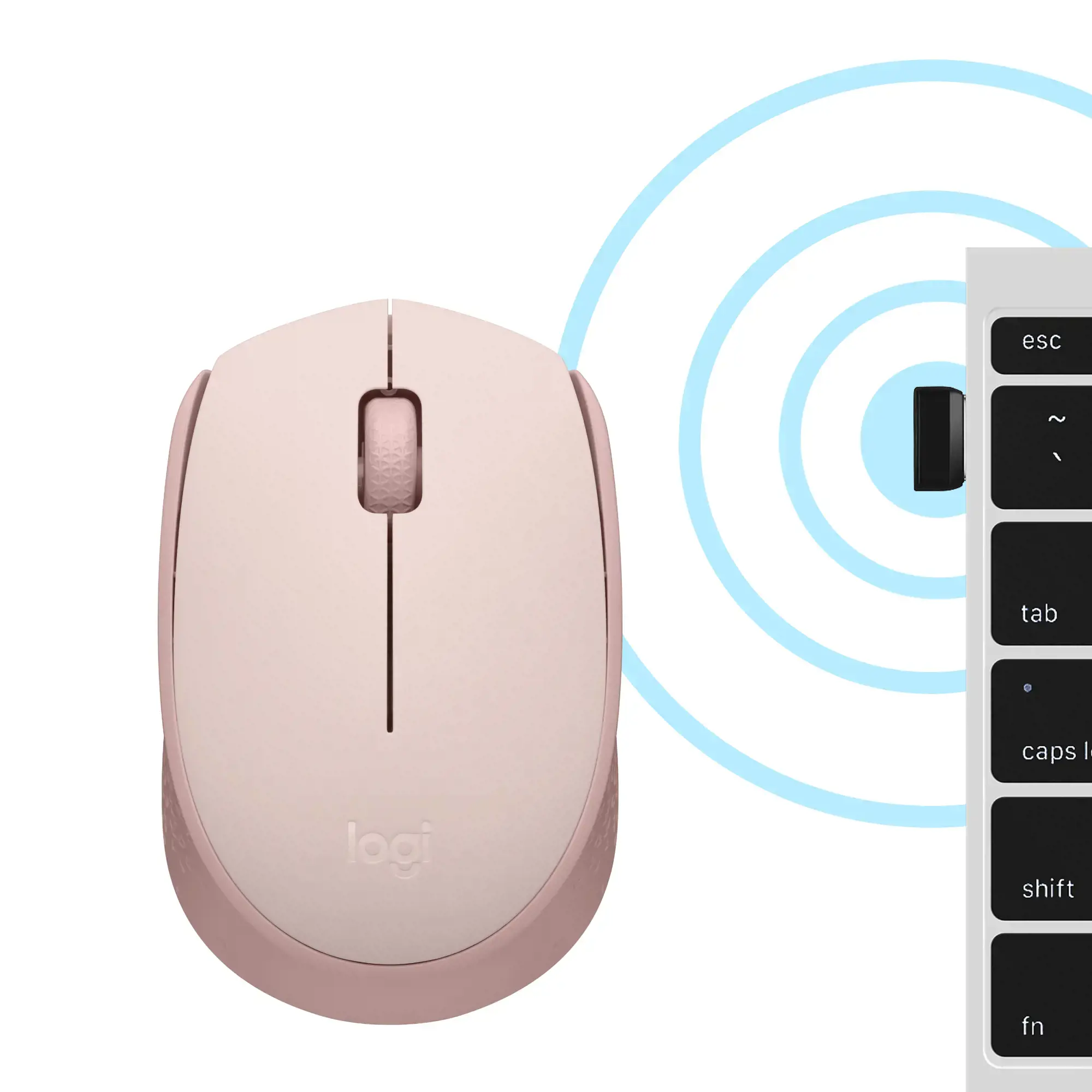 "Logitech M171", dvipusis, optinis, RF belaidis, rožinis
