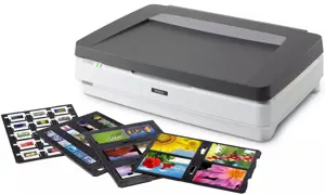 Epson Expression 13000XL Pro A3 Film and Graphics Scanner | B11B257401BT | Flatbed scanner