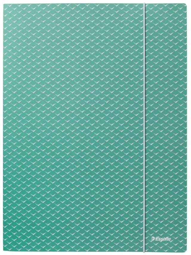 Aplankas dokumentams su gumele Esselte Colour'Breeze, A4, kartoninis, žalia
