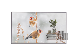 LG | Digital Signage | 55EW5P | 55 " | Landscape/Portrait | 18/7 | webOS | Transparent | 600 cd/m² …