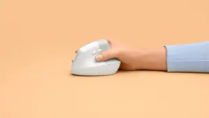 "LOGITECH LIFT" - BALTOS/ŠVIESIAI PILKOS SPALVOS - EMEA
