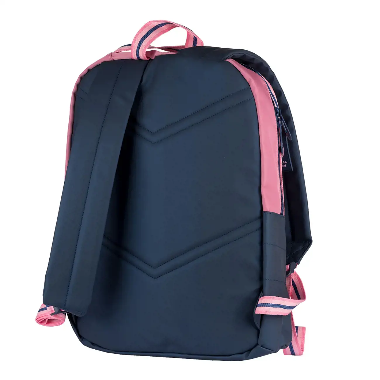 Kuprinė YES T-122 "Sense", mėlyna/rožinė,  42 х 30 х 14 cm
