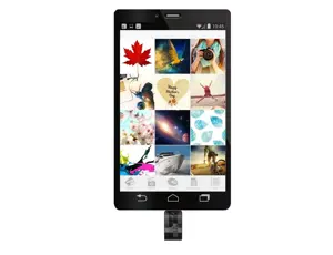 "Silicon Power Mobile C31", 16 GB, A tipo USB / C tipo USB, 3.2 Gen 1 (3.1 Gen 1), pasukamas, 3,3 g, juodas, sidabrinis
