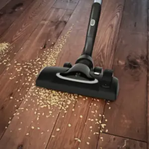 "Electrolux" EUOC94DB dulkių siurblys 5 L būgninis dulkių siurblys Sausas 850 W Dulkių maišelis