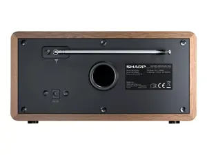 Sharp DR-450, asmeninis, skaitmeninis, DAB, DAB+, FM, 87,5 - 108 MHz, 174,928 - 239,2 MHz, 3 W