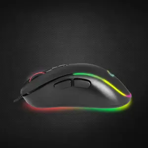 ESPERANZA PELĖS LAIDAS. 7D ŽAIDĖJAMS HESPERIS USB-C EGM303