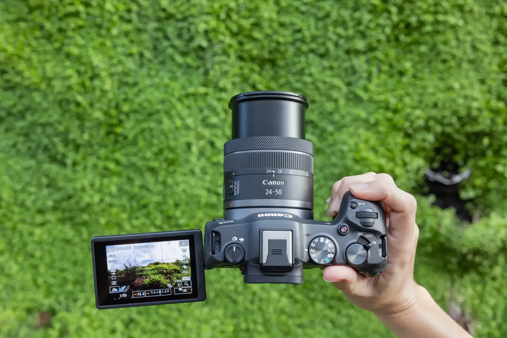 Canon EOS R8 + RF 24-50mm F4.5-6.3 IS STM Kit, 24.2 MP, 6000 x 4000 pixels, CMOS, 4K Ultra HD, Touchscreen, Black