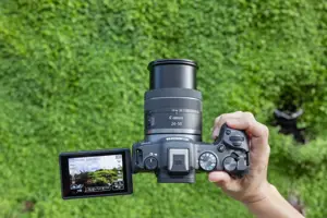 Canon EOS R8 + RF 24-50mm F4.5-6.3 IS STM Kit, 24.2 MP, 6000 x 4000 pixels, CMOS, 4K Ultra HD, Touchscreen, Black
