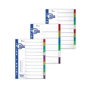 Plastikiniai spalvoti skiriamieji lapai, 1-12, A4, be numeracijos