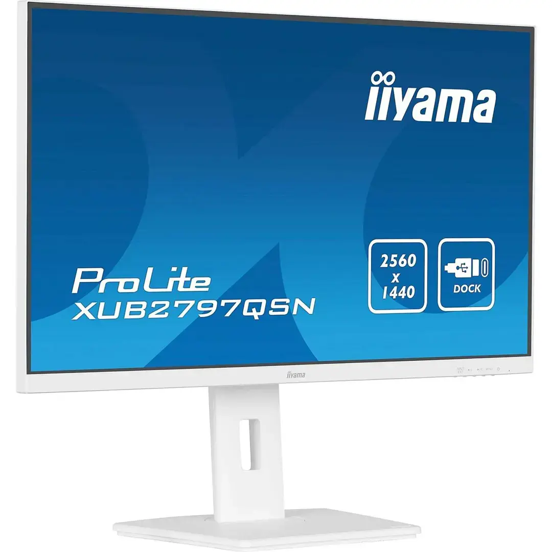 27’’ QHD IPS technology panel with USB-C dock and RJ45 (LAN)
