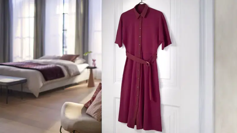 Drabužių garintuvas Philips GC810/20