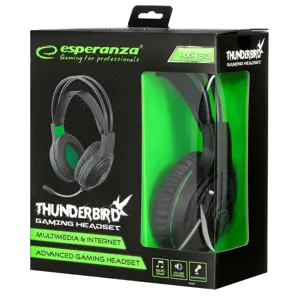 "ESPERANZA" STEREO ŽAIDIMŲ AUSINĖS SU MIKROFONU "THUNDERBIRD
