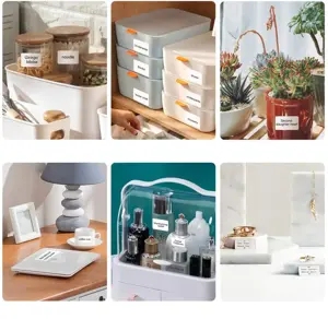 Etikečių spausdintuvas Niimbot D101 WHITE