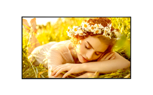 LG UHD Signage | 75UL5Q-M | 75 " | Landscape/Portrait | 24/7 | webOS | Wi-Fi | 8 ms | 178 ° | 178 ° | 500 cd/m²